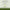 Matcha Biome Hydrogel Eye Patch (60ea)