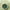 Matcha Biome Hydrogel Eye Patch (60ea)
