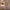 ILJAK Firming body Cream