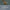 VT PDRN Essence 100