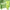 Green hair treatment tube with 'TS' branding on a green background